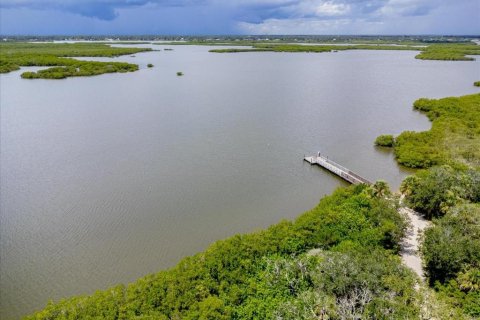 Condo in New Smyrna Beach, Florida, 2 bedrooms  № 1886213 - photo 19