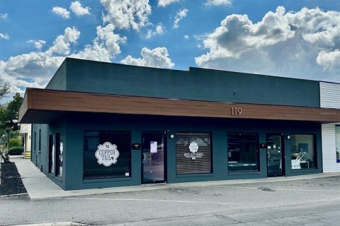 Immobilier commercial à vendre à Lakeland, Floride: 219.71 m2 № 1579170 - photo 4