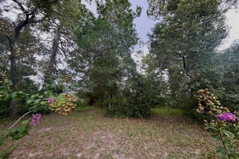 House in Spring Hill, Florida 3 bedrooms, 138.89 sq.m. № 2095527 - photo 20