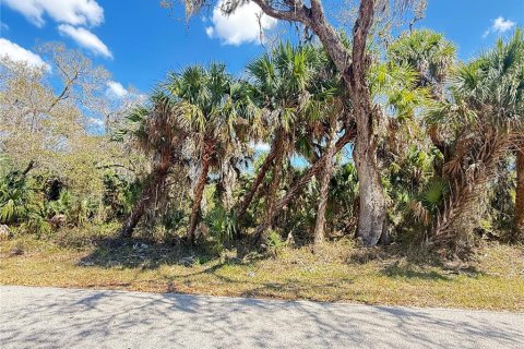 Land in Port Charlotte, Florida № 2161529 - photo 2