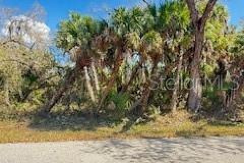 Land in Port Charlotte, Florida № 2161529 - photo 3