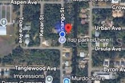 Land in Port Charlotte, Florida № 2161529 - photo 5