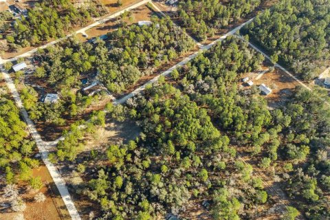 Land in Williston, Florida № 2160885 - photo 13