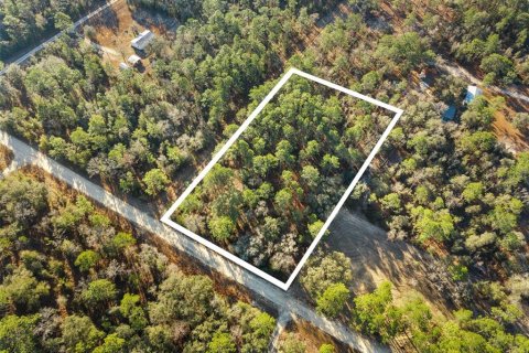 Land in Williston, Florida № 2160885 - photo 7