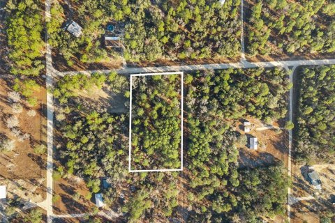 Land in Williston, Florida № 2160885 - photo 2