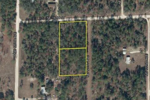 Land in Williston, Florida № 2160885 - photo 3