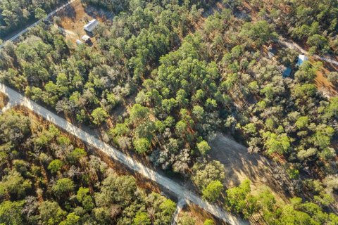 Land in Williston, Florida № 2160885 - photo 8