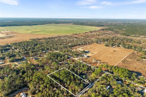 Land in Williston, Florida № 2160885