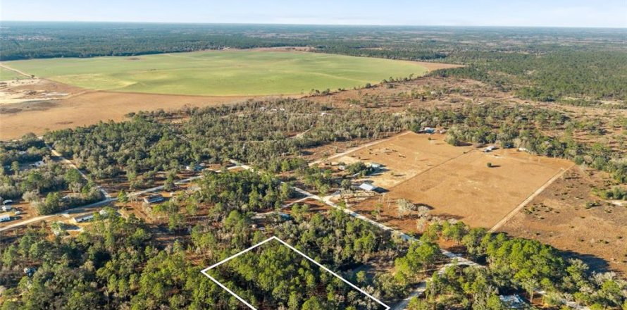 Land in Williston, Florida № 2160885