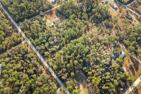 Land in Williston, Florida № 2160885 - photo 14