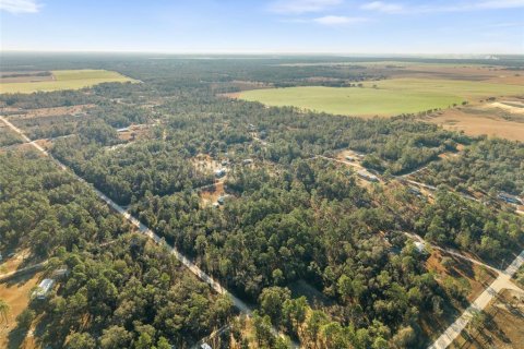 Land in Williston, Florida № 2160885 - photo 15