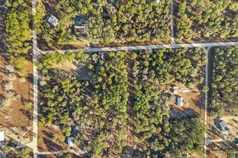 Land in Williston, Florida № 2160885 - photo 12