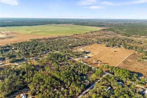 Land in Williston, Florida № 2160885 - photo 10