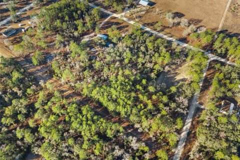 Land in Williston, Florida № 2160885 - photo 9