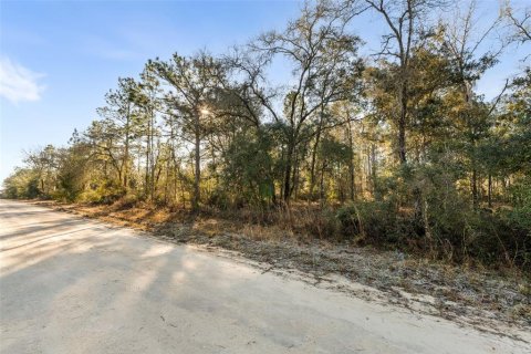 Land in Williston, Florida № 2160885 - photo 5