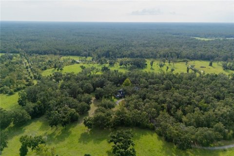 Villa ou maison à vendre à Cross City, Floride: 5 chambres, 283.44 m2 № 1916457 - photo 10