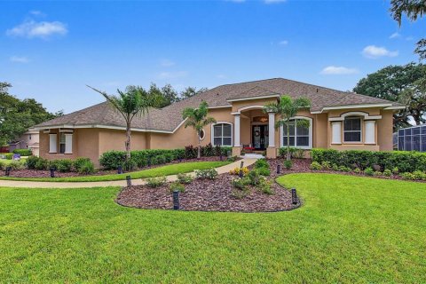 Villa ou maison à vendre à Valrico, Floride: 5 chambres, 341.42 m2 № 2397118 - photo 3