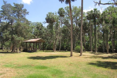 Land in Leesburg, Florida № 1718049 - photo 4