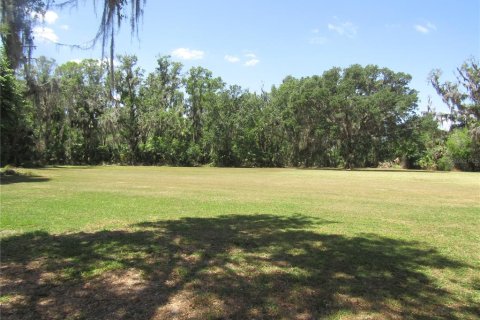 Land in Leesburg, Florida № 1718049 - photo 8