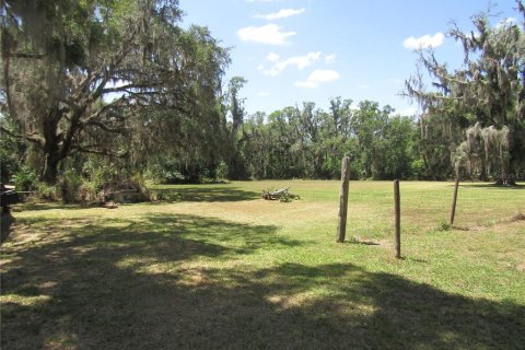 Land in Leesburg, Florida № 1718049 - photo 6