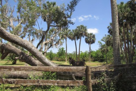 Land in Leesburg, Florida № 1718049 - photo 14