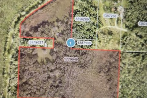 Land in Leesburg, Florida № 1718049 - photo 1