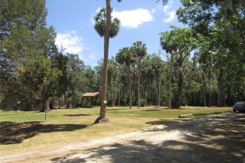 Land in Leesburg, Florida № 1718049 - photo 11