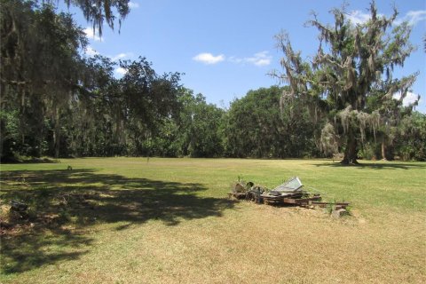 Land in Leesburg, Florida № 1718049 - photo 7