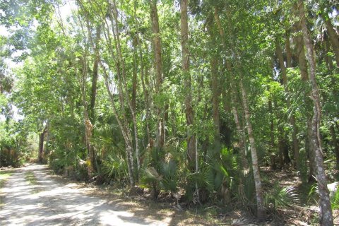 Land in Leesburg, Florida № 1718049 - photo 18