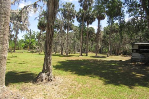 Land in Leesburg, Florida № 1718049 - photo 13