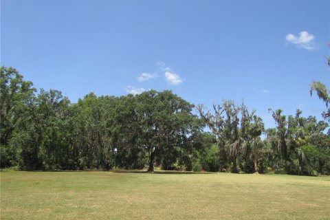 Land in Leesburg, Florida № 1718049 - photo 10