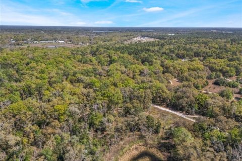 Land in Inverness, Florida № 2228952 - photo 5