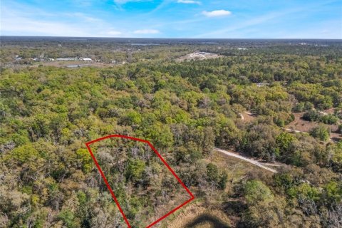 Land in Inverness, Florida № 2228952 - photo 4