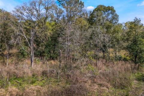 Land in Inverness, Florida № 2228952 - photo 2