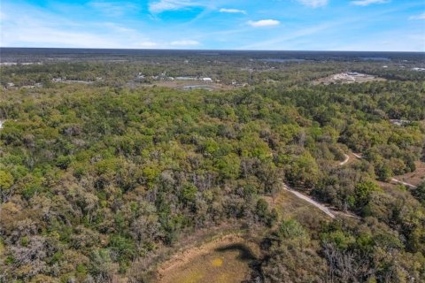 Land in Inverness, Florida № 2228952 - photo 7