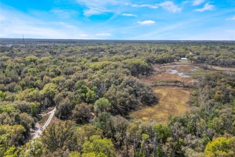 Land in Inverness, Florida № 2228952 - photo 14