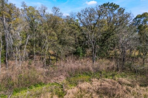 Land in Inverness, Florida № 2228952