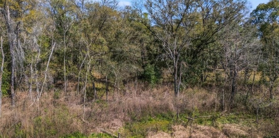 Land in Inverness, Florida № 2228952
