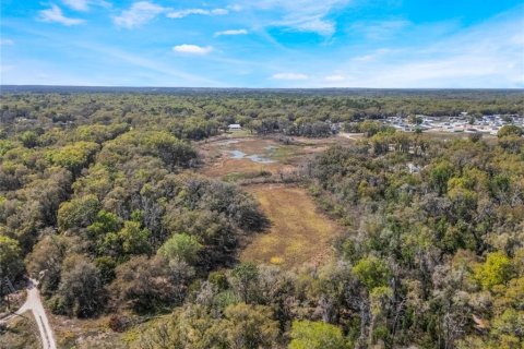 Land in Inverness, Florida № 2228952 - photo 15