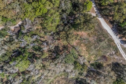 Land in Inverness, Florida № 2228952 - photo 12