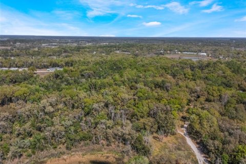 Land in Inverness, Florida № 2228952 - photo 10