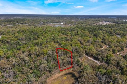 Land in Inverness, Florida № 2228952 - photo 6