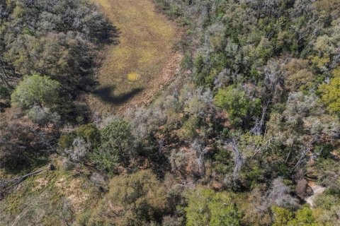 Land in Inverness, Florida № 2228952 - photo 13