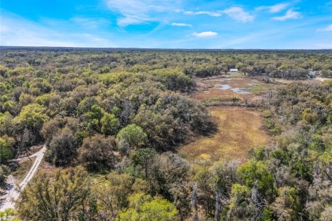 Land in Inverness, Florida № 2228952 - photo 17