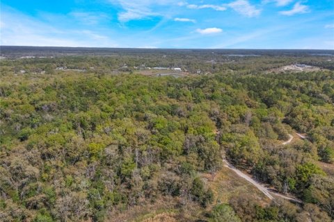Land in Inverness, Florida № 2228952 - photo 9