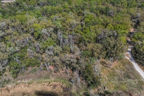 Land in Inverness, Florida № 2228952 - photo 11