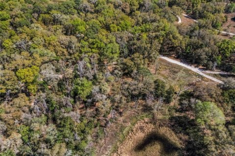 Land in Inverness, Florida № 2228952 - photo 8