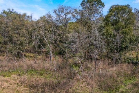 Land in Inverness, Florida № 2228952 - photo 3