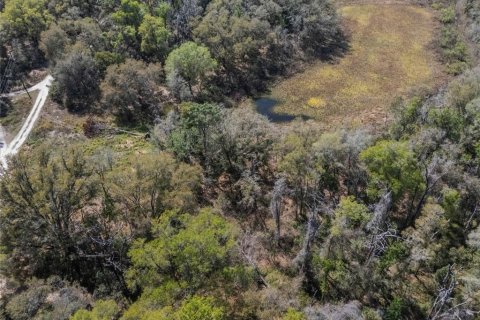 Land in Inverness, Florida № 2228952 - photo 16
