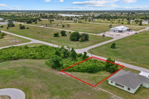 Land in Placida, Florida № 2162115 - photo 2